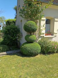 L.c Jardin et Services