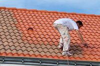Artisan Duault Anatole Peintures Traitements Murs et Toitures