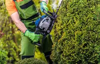 Ed Elagage : Entreprise Élagage et Étêtage d'Arbre 28 À Chartres