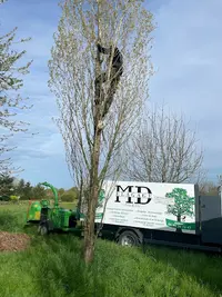 Md
