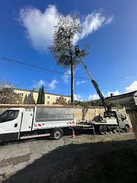 Rf Elagueur