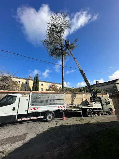 Rf Elagueur