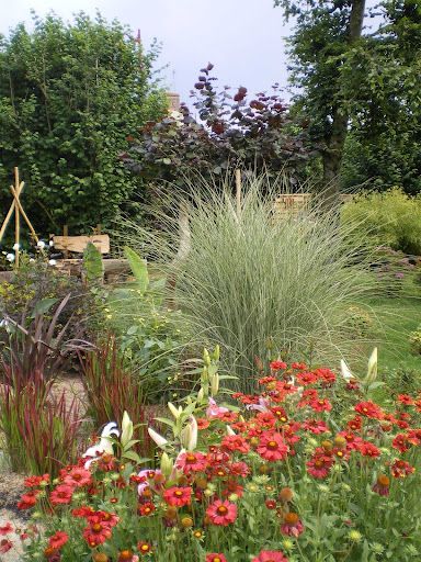 Souci de Jardin