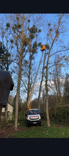 Les Élagueurs Dunois