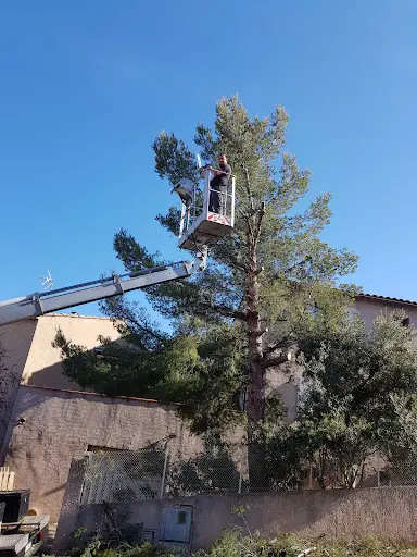 David Elagage - Service d'Élagage, Elagueur À Châteauneuf les Martigues