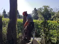 Ruben Elagage | Elagueur Jardinier Paysagiste Chatellerault 86