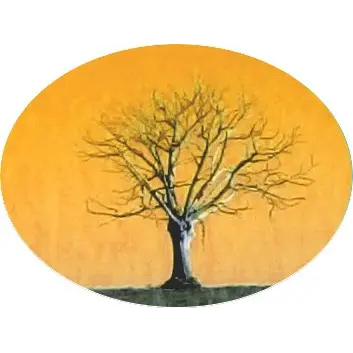 Antoine Guillaume Arboriste Grimpeur