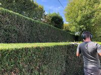 Vision Jardin