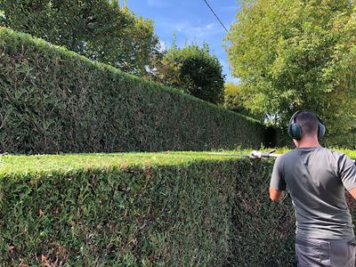 Vision Jardin