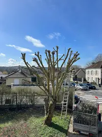 Élagueur & Grimpeurs des Hauteurs