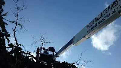 Victor Élagage Élagueur Jardinier Paysagiste Chessy 69
