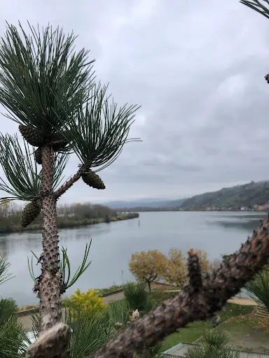 Tree-service