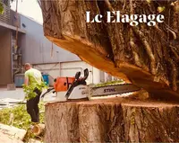 L.c. Elagage & Paysage (lcep)