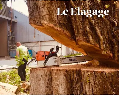 L.c. Elagage & Paysage (lcep)