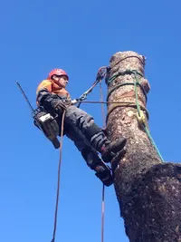 Biotop Élagage