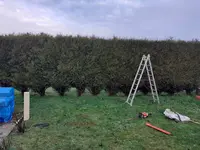 Élagage Pierre