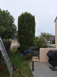 Élagage et Espaces Verts Calvados
