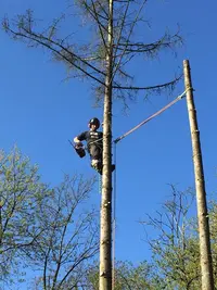 Acrocim