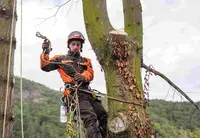 Ard Aisne Elagage