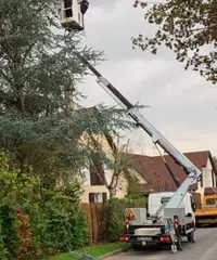 M.weiss Elagueur Jardinier Paysagiste Taille de Haie Cornebarrieu