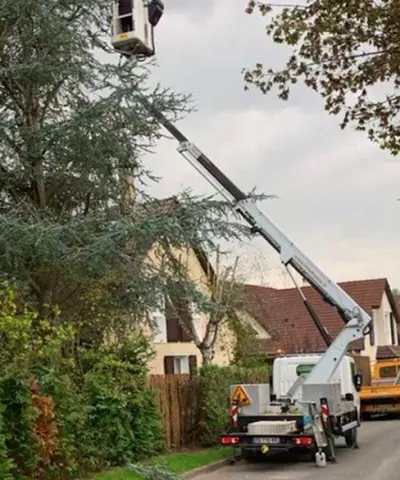 M.weiss Elagueur Jardinier Paysagiste Taille de Haie Cornebarrieu