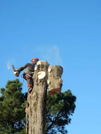 Vus d'en Haut