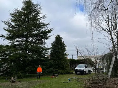Un R de Travaux Élagueur Couëron Saint-herblain Nantes Jardinier Paysagiste