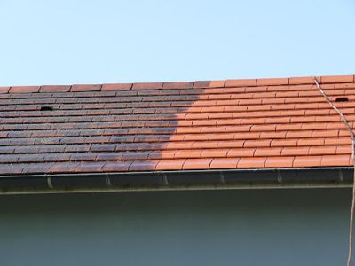 Couvreur Adenot/ Spécialisé du Démoussage de Toiture/nettoyage de Façade/nettoyage de Toiture Dans le Jura39