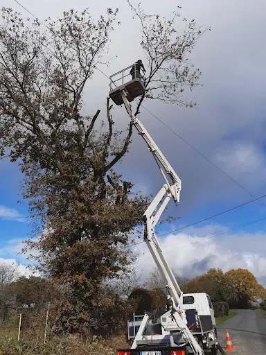 Rochard Service d'Élagage