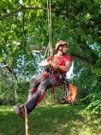 Treez Élagage