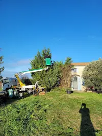Ô Arbres Etc...