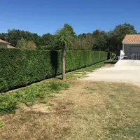 Élagueur Paysagiste À Créon