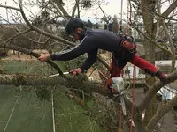 Pérou Elagage