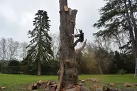l'Arbre et le Jardin