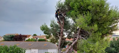 La-haut Jgg