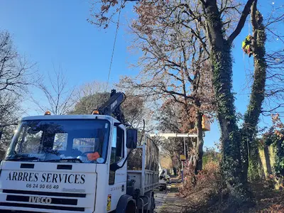 Arbres Services Occitanie