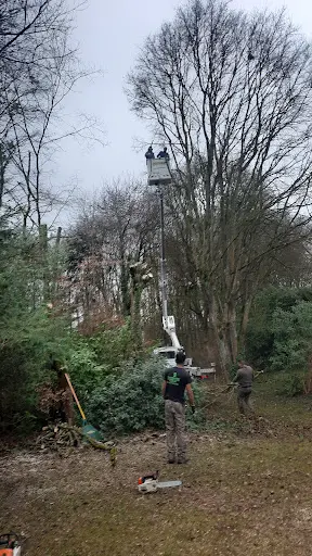 Ent Demmerez Élagueur Paysagiste Terrassement