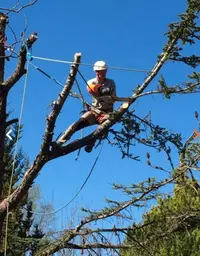 Landes Élagage À Dax