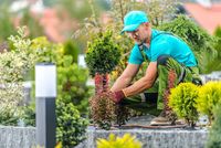 Jardiniers Sap Decines Charpieu