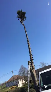 Artisan Clement Elagage Decize Jardinier Nièvre Paysagiste 58