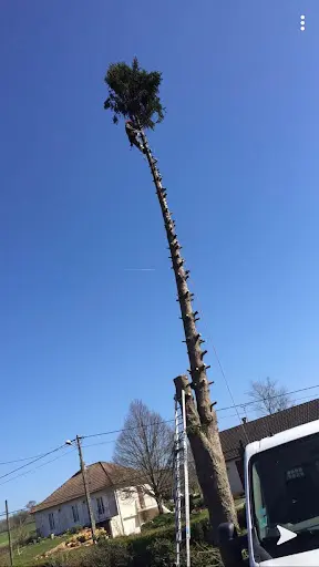 Artisan Clement Elagage Decize Jardinier Nièvre Paysagiste 58