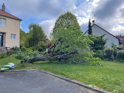Reynier Espace Verts
