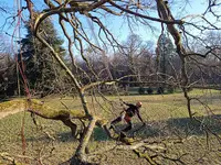 Arbor Etik