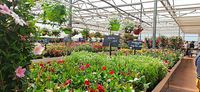 Jardins Delacour