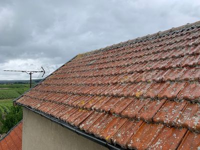 Couvreur 23 Mr Mouche