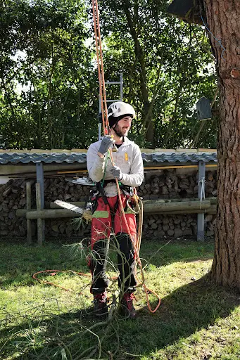 Gauthier Élagage
