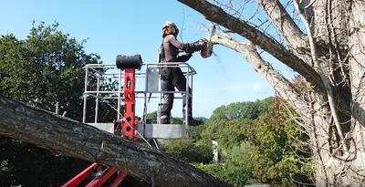 Sarl Raynal – Elagage & Travaux Environnementaux - Saint Nazaire