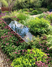 Vincent Henaff Élagueur-jardinier Douarnenez