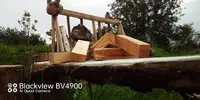 Arborix Elagage