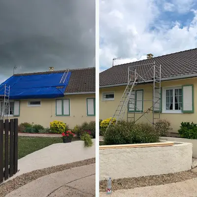 Elagage Services Paris | Hoerter